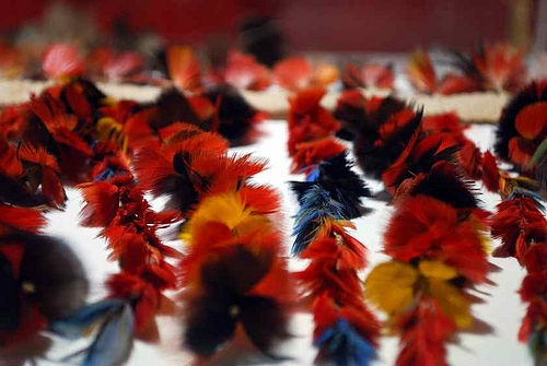 Detalhe de cinto indígena com plumas